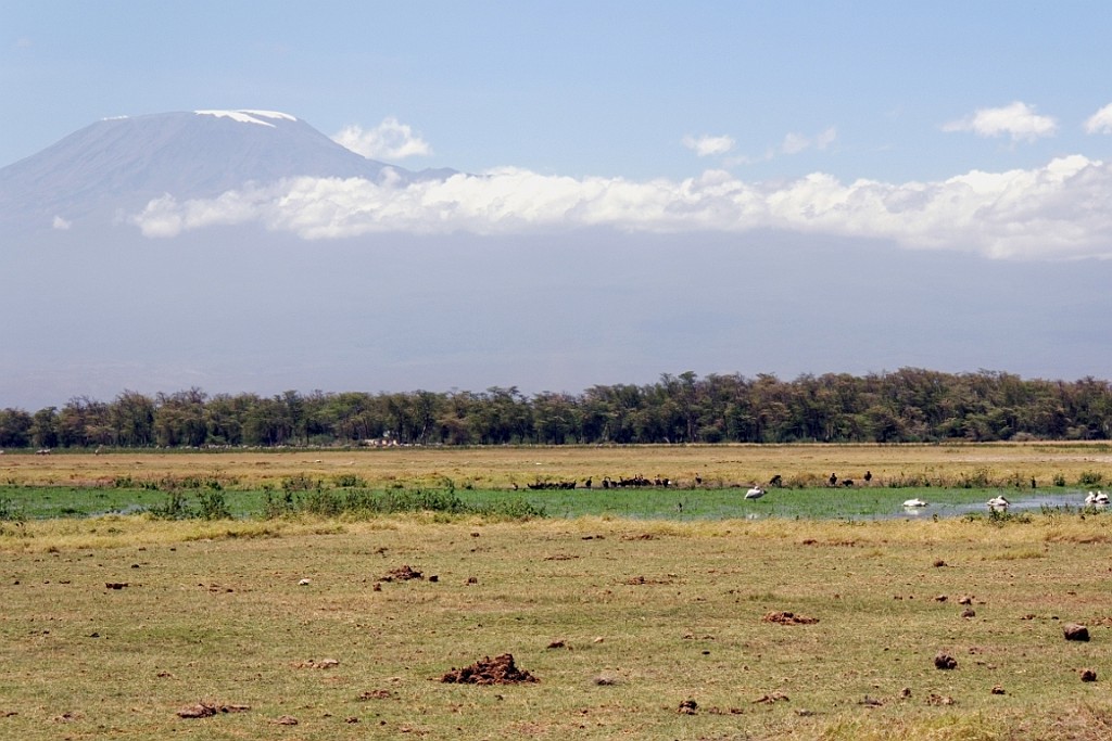 Kenia (181).jpg